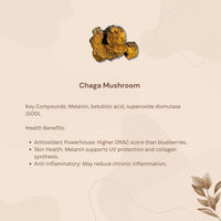 Bio Paddenstoelen Complex