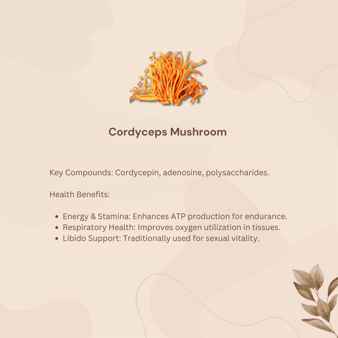 Bio Paddenstoelen Complex