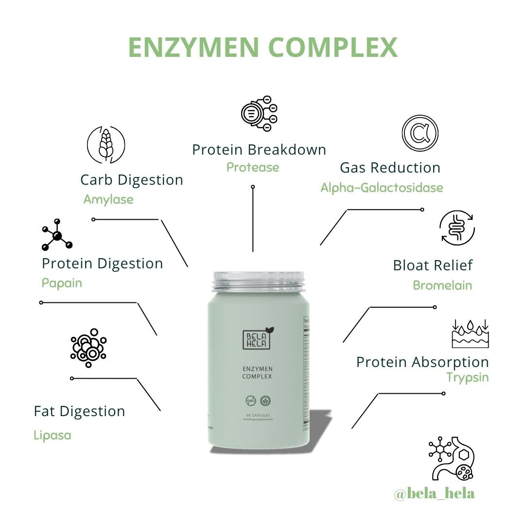 Enzymen Complex
