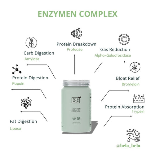 Enzymen Complex
