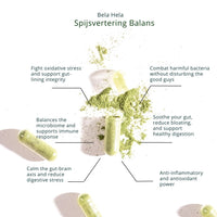 Spijsvertering Balans