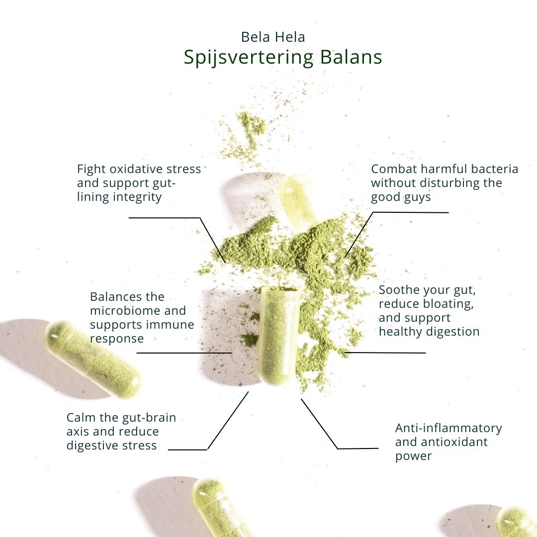 Spijsvertering Balans